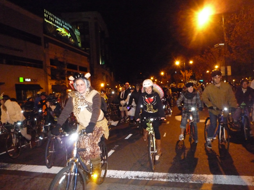 2010.11.31_113