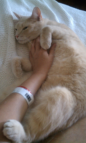 2011.08.29_004