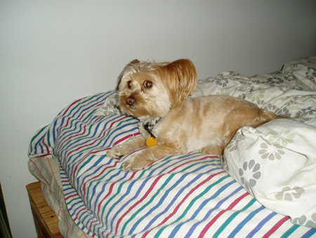 P2010008