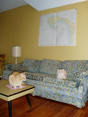 catschart2