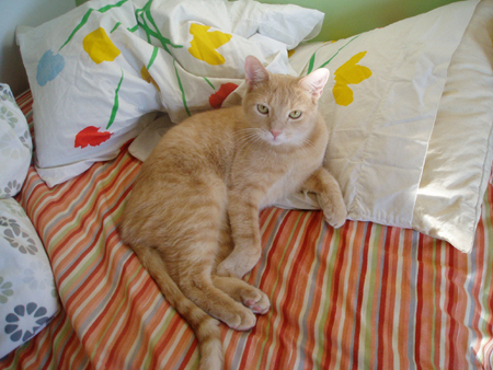 pillowqueen2 copy