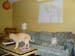 catschart1